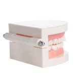 base_4_|model_1_dental|model_1_dental_3|model_1_dental_4|model_1_dental_5