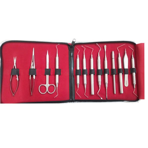 Api Endo Surgical Kit Set Of 13