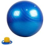 Arnav 65cm PVC Assorted Anti Burst Gym Ball with Foot Pump|OSB-130114_65|TSmhFnNNuaB9d-xxlarge|8urIM5tslRV2L-xxlarge|S9LrDIq5ZxP1u-xxlarge