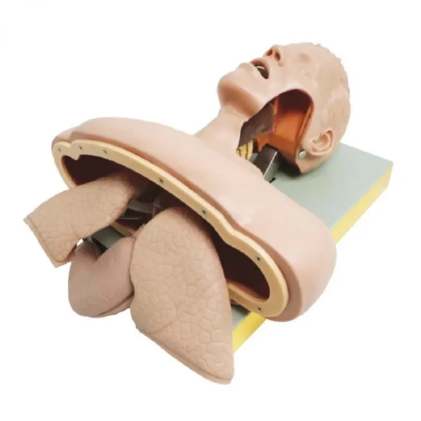 Divine Medicare - Airway Intubation Simulator