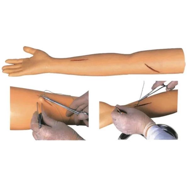 Divine Medicare - Advanced Suture Practice Arm Model