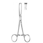 Alis 25cm/ 10 inch Tissue Holding Forceps Allis