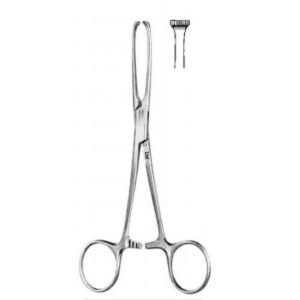 Alis 25cm/ 10 inch Tissue Holding Forceps Allis