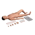 Divine Medicare – Multi-functional Patient Care Manikin Male|Multifunctional-Patient-Care-Manikin-Male-02-1200×1200