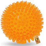 Agarwals 3 inch Non-Toxic Rubber Orange Dog Teething Toy|gfsBGrREeJsJe-xxlarge|JZa4oCd0USKrH-xxlarge|8edHpbVIz70Ip-xxlarge|HNIQBxvWGYFTl-xxlarge