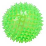 Agarwals 3 inch Non-Toxic Rubber Green Dog Teething Toy|XWrfsAYfz5ouk-xxlarge|yyS2g33w7LKnp-xxlarge|s846SHe8lo9NN-xxlarge|3yFmhibSTv2wt-xxlarge