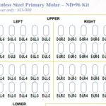 3m Espe Ss Crown Primary Molar – Intro Kit Nd96|dyhjyu|fghtj|rtyjtyuk|whatsapp_image_2023-02-09_at_11.46.12_am